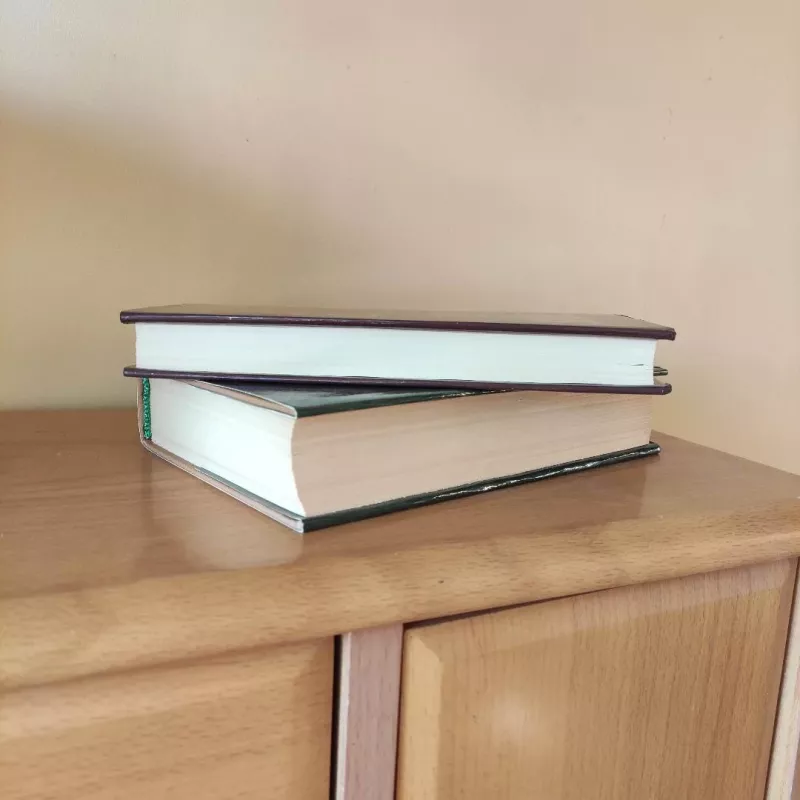 Rinktiniai raštai (2 tomai) - Kazys Saja, knyga 5