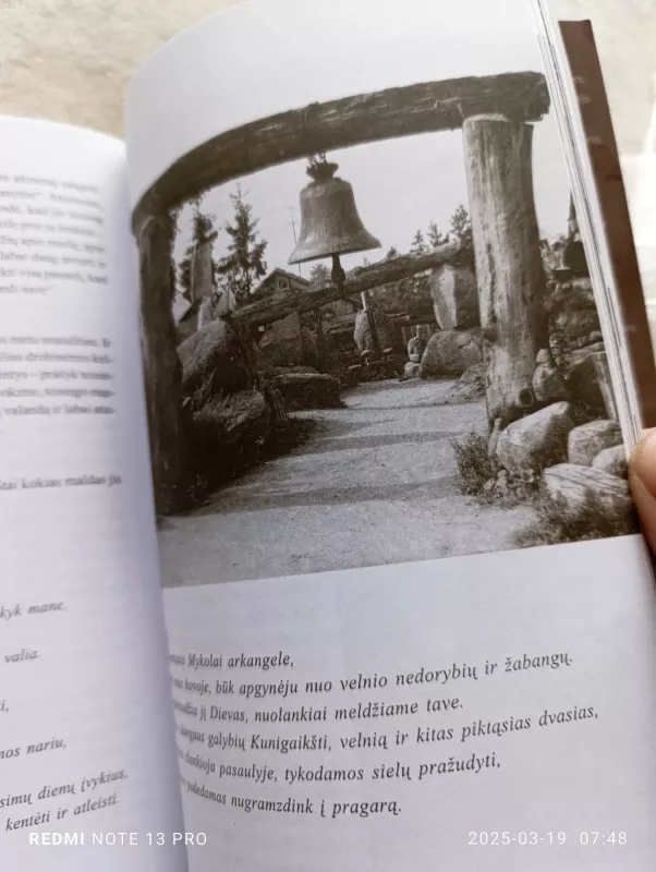 Kitoks Vilius Orvidas - Daina Parulskienė, knyga 3