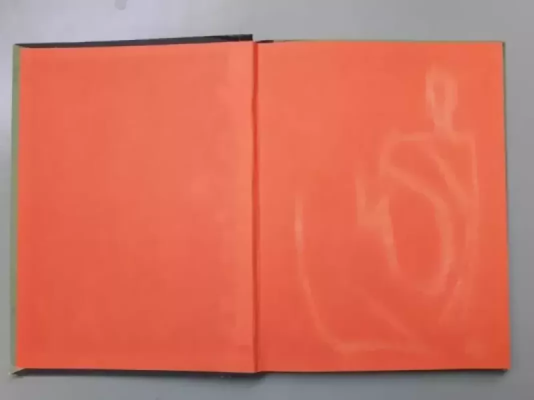 Sieksnis Sprindžio vaikas - Vytautas Petkevičius, knyga 3