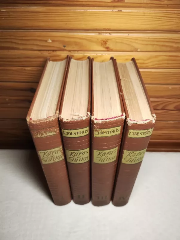 Karas ir taika I-IV - Levas Tolstojus, knyga 2