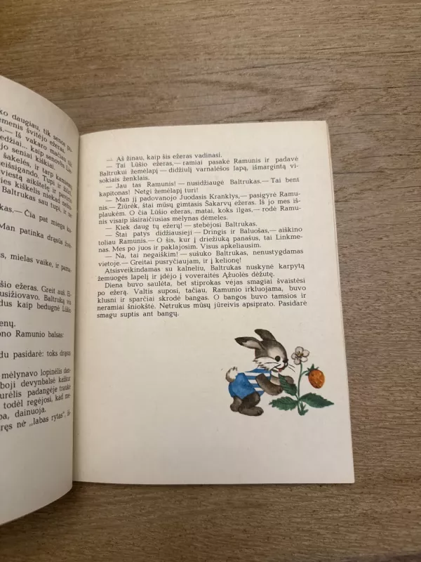 Jūreivis Baltrukas - Elena Spurgaitė, knyga 4