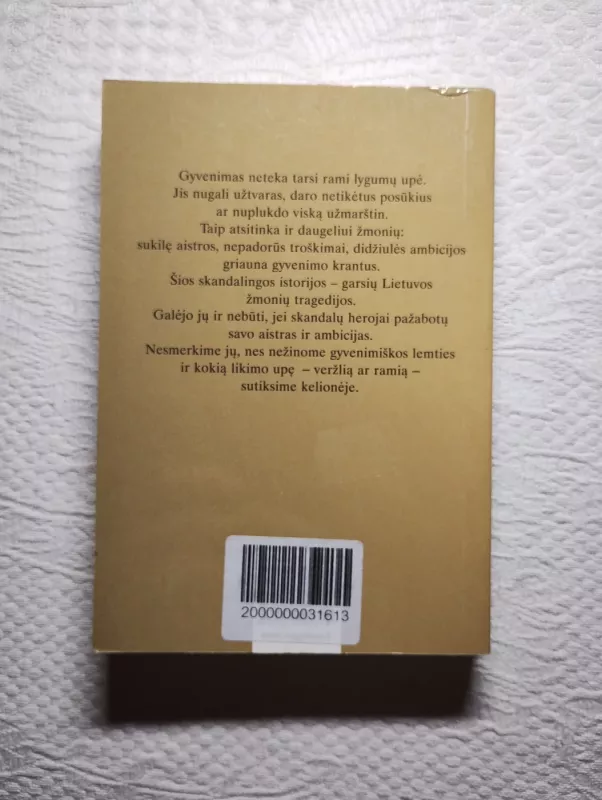 Didžiausi skandalai Lietuvoje 1918 - 1940 - Valdas Sasnauskas, knyga 3