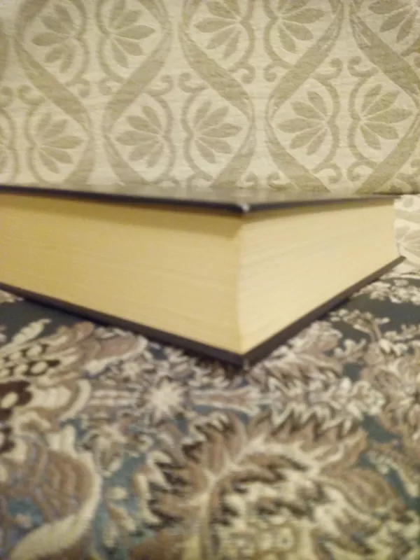 Mečetė sultono dukteriai - Elif Shafak, knyga 3