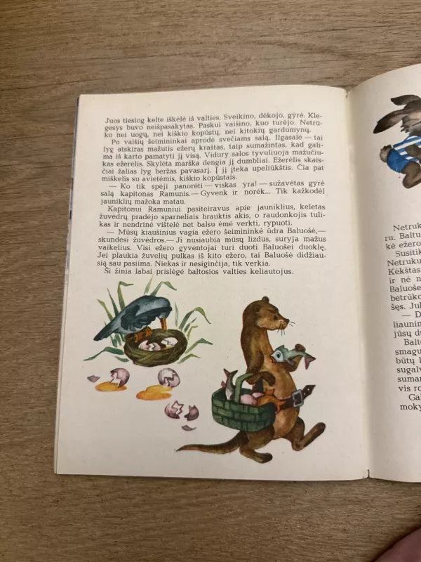 Jūreivis Baltrukas - Elena Spurgaitė, knyga 5