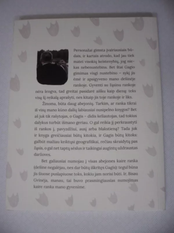 Žąsino Gagio kelionės - Aidas Jurašius, knyga 3