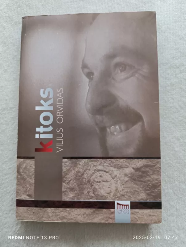 Kitoks Vilius Orvidas - Daina Parulskienė, knyga 2