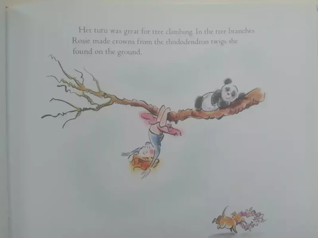 Ballerina Rosie - Sara Ferguson, knyga 3