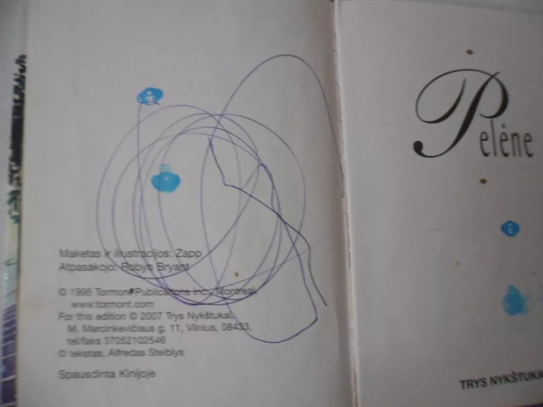 Pelene. Mano mažoji skrynelė - Robyn Bryant, knyga 4