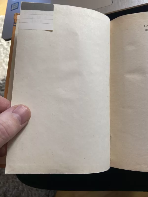 Heklberio Fino nuotykiai - Markas Tvenas, knyga 4