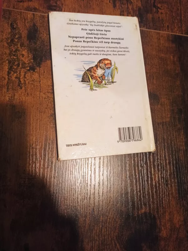 Prie upės kitas ūpas - Liuda Petkevičiutė, knyga 4