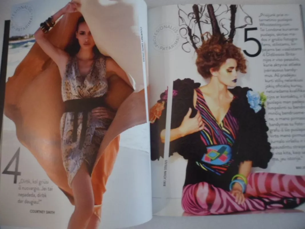 Šiuolaikiniai mados stilistai - Mclean Luanne, knyga 5