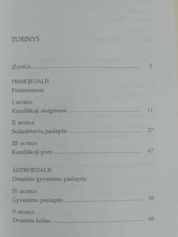 Iškalbingas karaliaus Bodueno gyvenimas - Autorių Kolektyvas, knyga 3