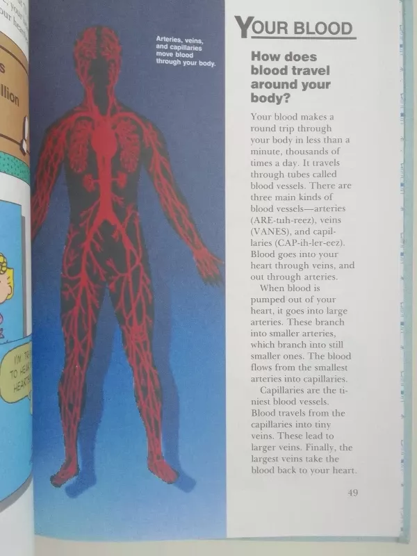 Charlie Brown's 'cyclopedia - Charles M. Schulz, knyga 3