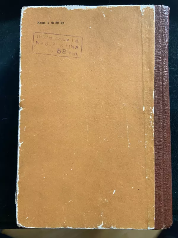 Heklberio Fino nuotykiai - Markas Tvenas, knyga 6