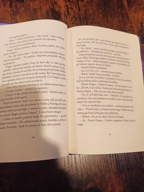 Septyni miegantys broliai - Kazys Saja, knyga 4