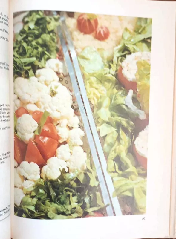 Rohkost, vokiečių k. (liet. "Gyvasis maistas") - Autorių Kolektyvas, knyga 4