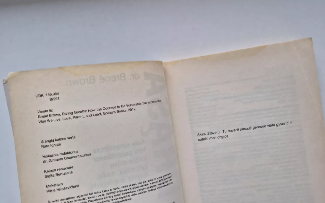 Didi drąsa. Kaip sprendimas būti pažeidžiamu keičia mūsų gyvenimą - Brene Brown, knyga 4