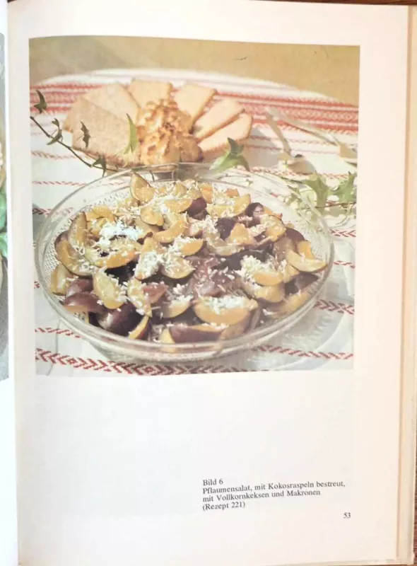 Rohkost, vokiečių k. (liet. "Gyvasis maistas") - Autorių Kolektyvas, knyga 5