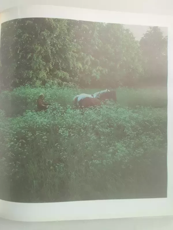 Lietuva. Lithuania - Autorių Kolektyvas, knyga 5