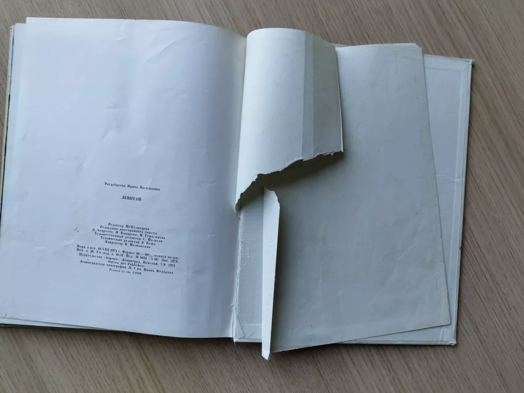 Levitan - Razdobreeva Irina, knyga 6