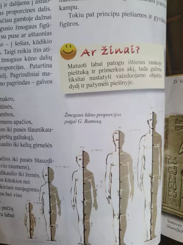 Dailės studija 6 - Autorių Kolektyvas, knyga 6