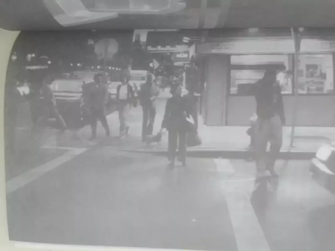 Iš Niujorko požeminio traukinio - Šiaurys Narbutas, knyga 4