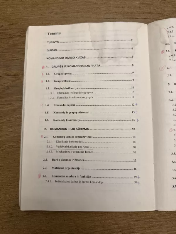 Komandinio darbo pagrindai - Birutė Vijeikienė, Juozas  Vijeikis, knyga 6