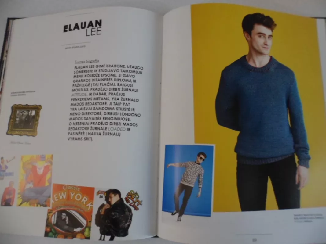 Šiuolaikiniai mados stilistai - Mclean Luanne, knyga 6