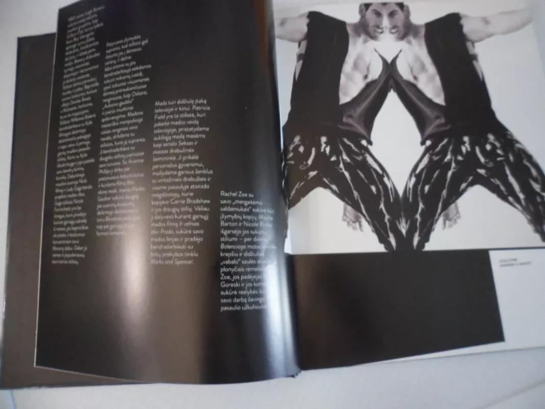 Šiuolaikiniai mados stilistai - Mclean Luanne, knyga 3