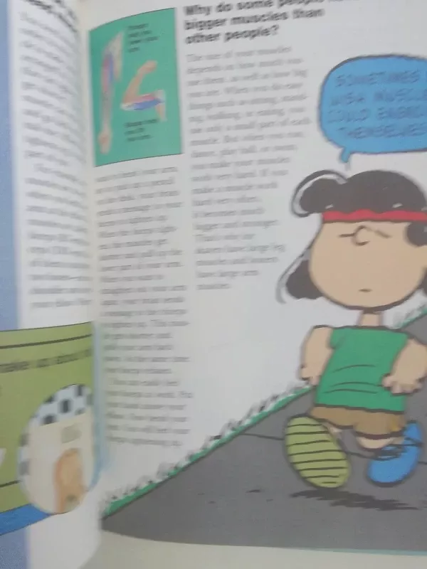 Charlie Brown's 'cyclopedia - Charles M. Schulz, knyga 6