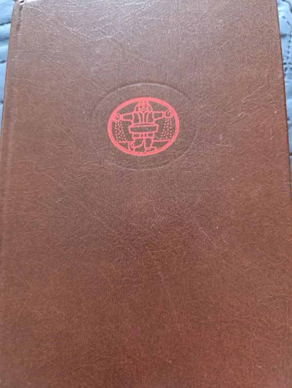 Šventasis raštas (IV tomas) - Česlovas Kavaliauskas, knyga 2