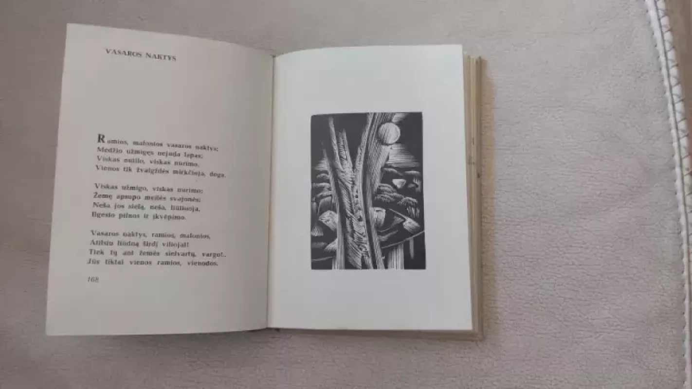 Maironis poezija rinktinė - Autorių Kolektyvas, knyga 2