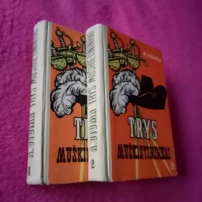Trys muškietininkai (2 tomai) - Aleksandras Diuma, knyga 3