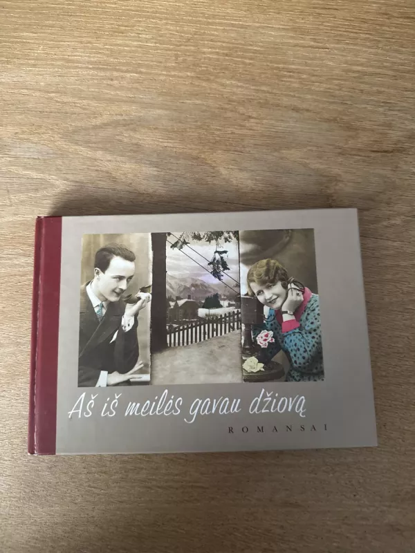 Aš iš meilės gavau džiovą - Zita Kelmickaitė, knyga 2