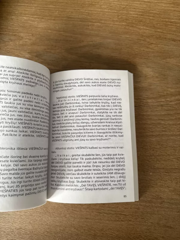 kryžiaus keliai, sentencijos susimąstymui, devyndienis, maldos vienybėje su šventaisiais angelais - Autorių Kolektyvas, knyga 4