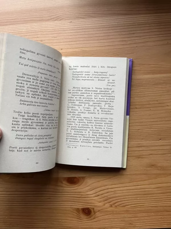 Salomėja Nėris - Vitas Areška, knyga 4