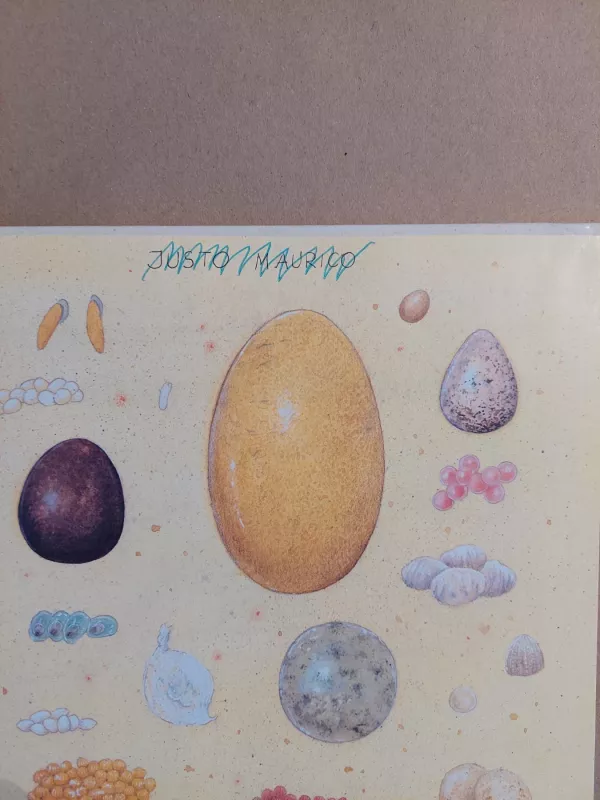 Aš išsiritau iš kiaušinio - Arne Falk - Renne, knyga 4