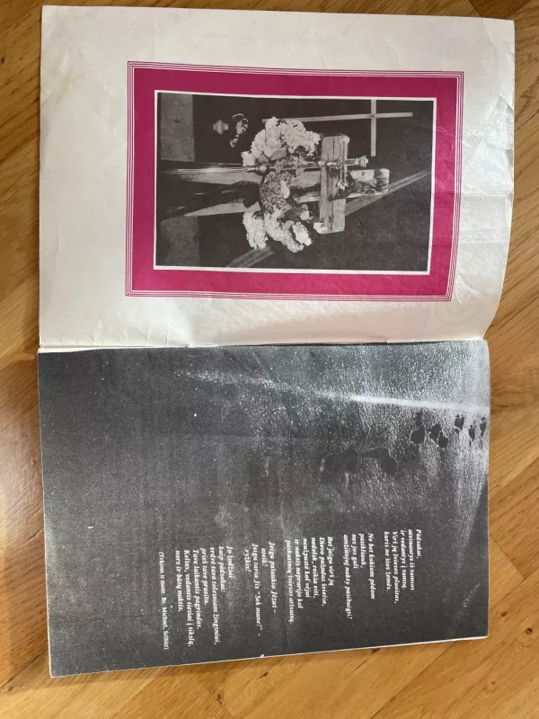 Caritas. Kilti ir kelti 1991 birželis - Autorių kolektyvas, knyga 3