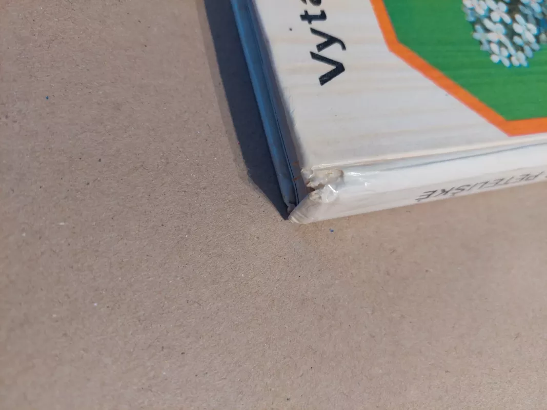 Robotas ir peteliškė - Vytautė Žilinskaitė, knyga 4