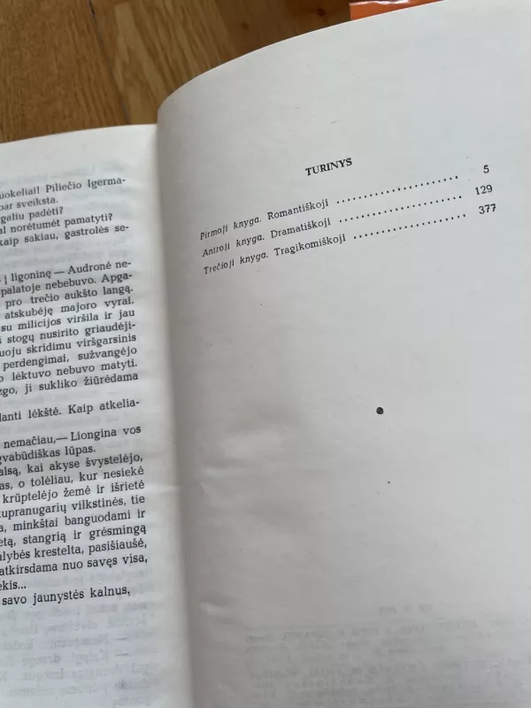 Kelionė į kalnus ir atgal - Mykolas Sluckis, knyga 6