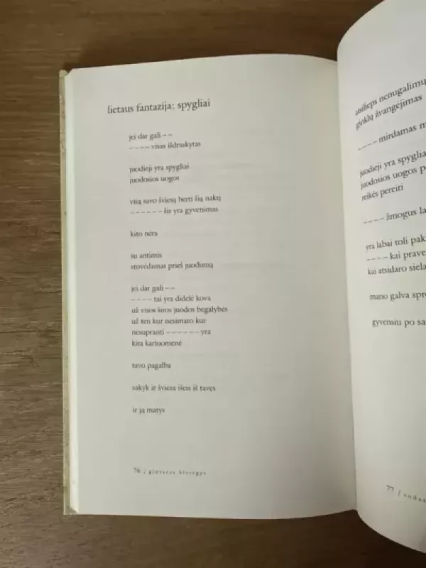 Sodas - Gintaras Bleizgys, knyga 4