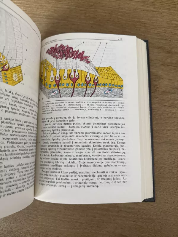 Histologija - Autorių Kolektyvas, knyga 5