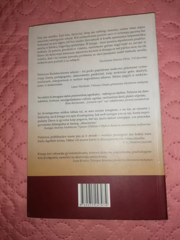 Sužeistieji. Iš psichatro užrašų - Palmira Rudalevičienė, knyga 3