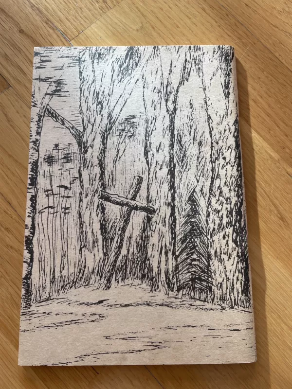 Užgesęs saulėtekis virš Budavonės - J. Šidlauskas, V.  Bartasevičius, knyga 6