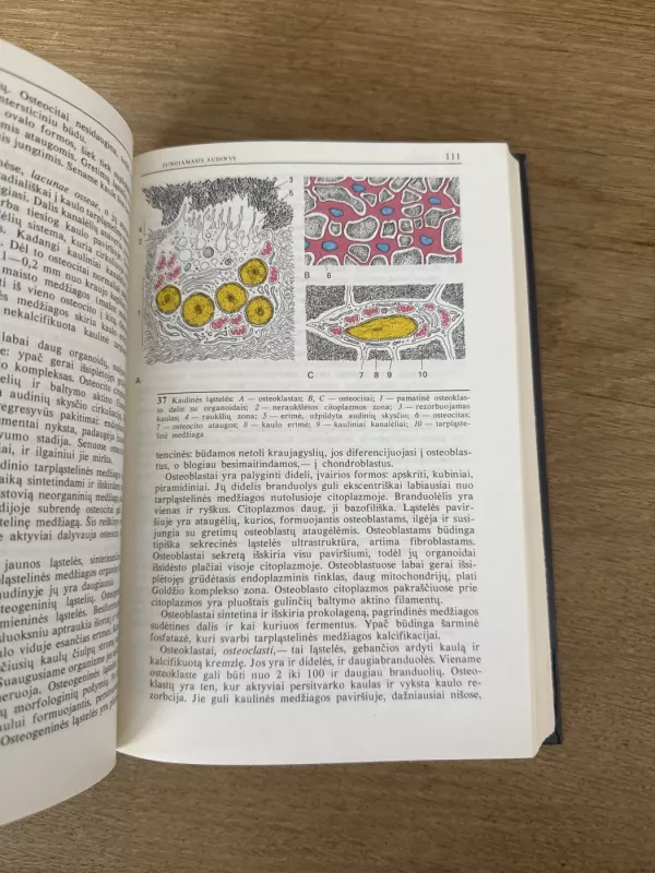 Histologija - Autorių Kolektyvas, knyga 4