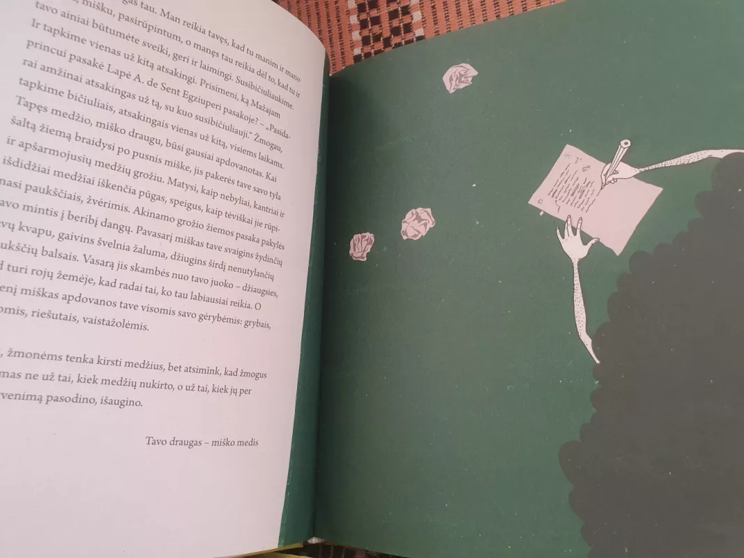 Kaip Disysis Žmogus sėdėji ant stogo - Radvilė Morkūnaitė, knyga 5