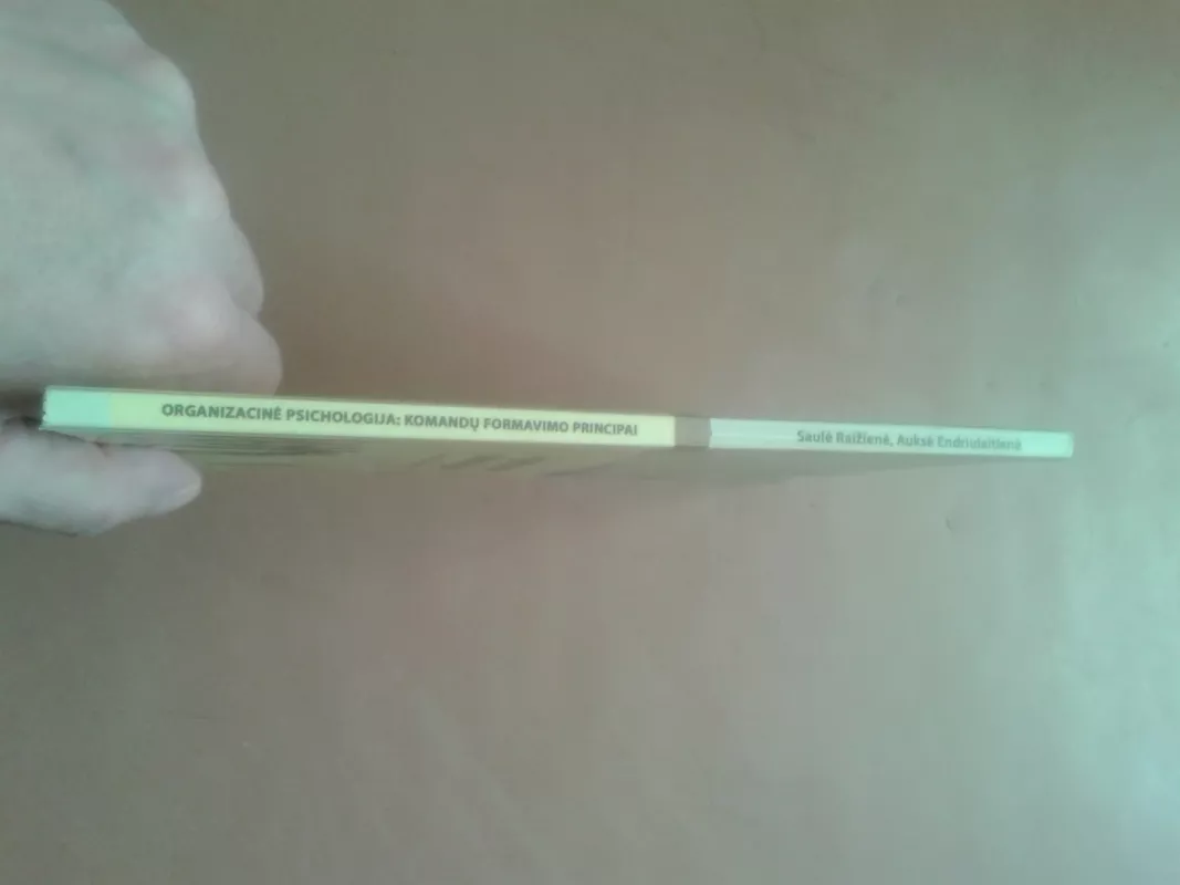 Organizacinė psichologija: komandų formavimo principai - Saulė Raižienė, knyga 3