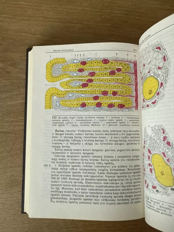 Histologija - Autorių Kolektyvas, knyga 6