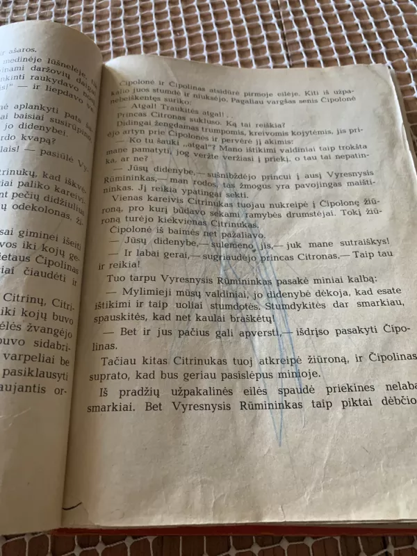 Čipolino nuotykiai - Džanis Rodaris, knyga 4