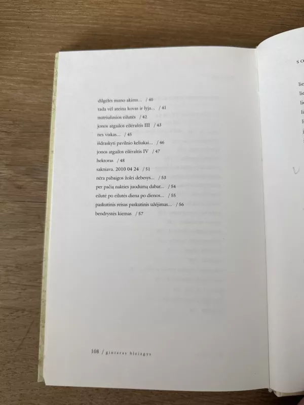 Sodas - Gintaras Bleizgys, knyga 6